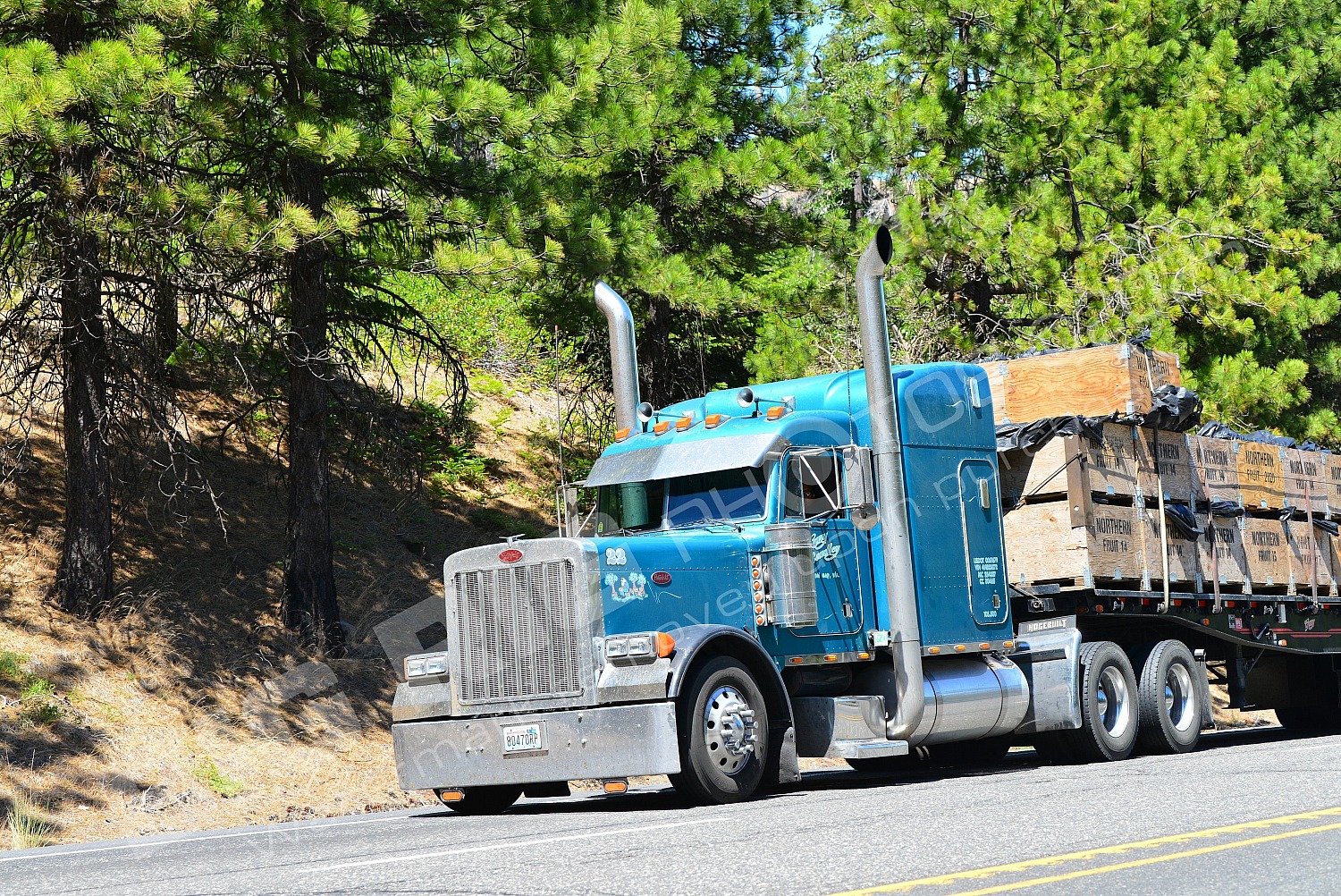 23, 80470rp, BBB, Flatbed, Peterbilt, Roy Stanley, Roy Stanley 2