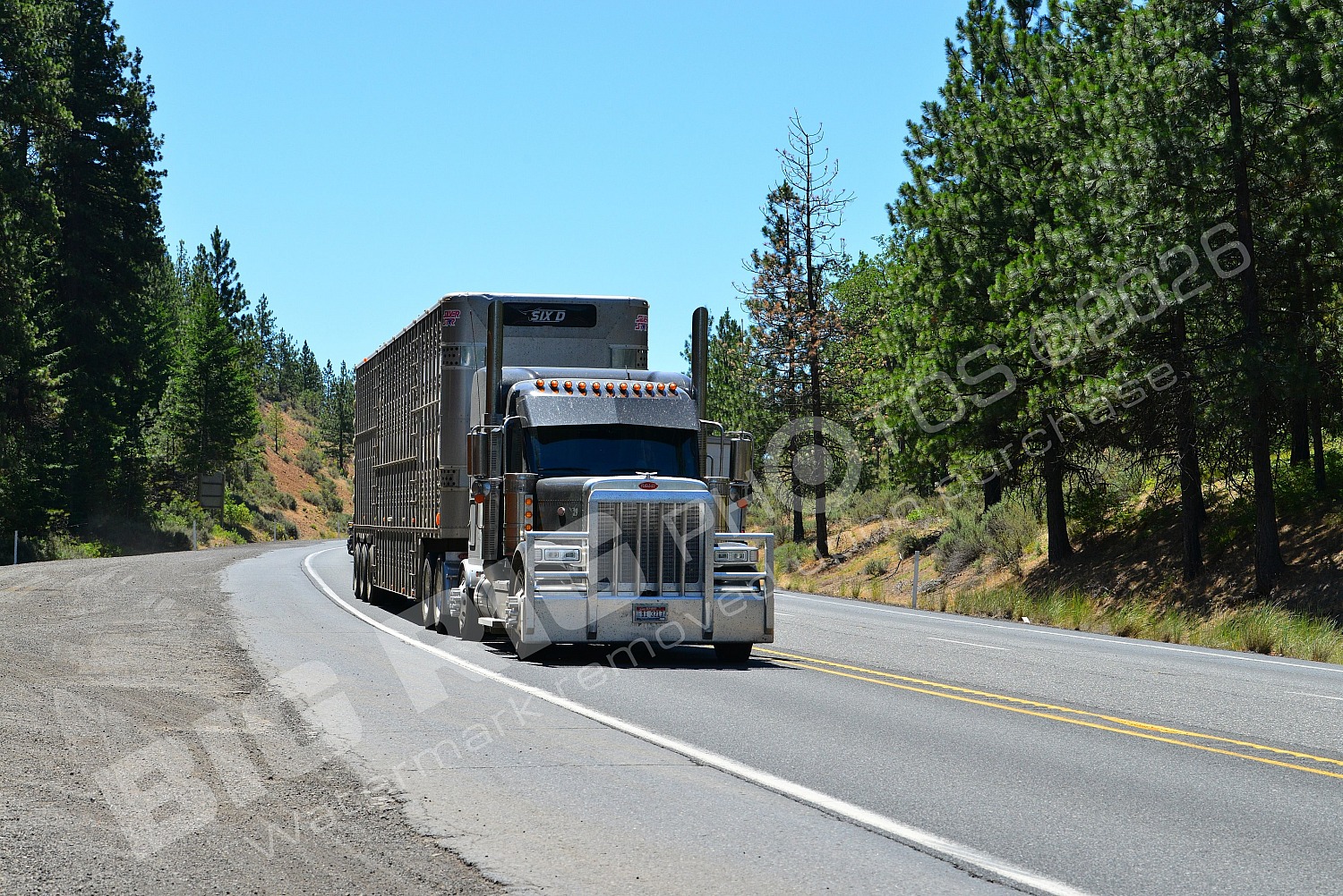 29, Agriculture, BBB, Dry Van, Peterbilt, Six D, Six D 2, bi3217