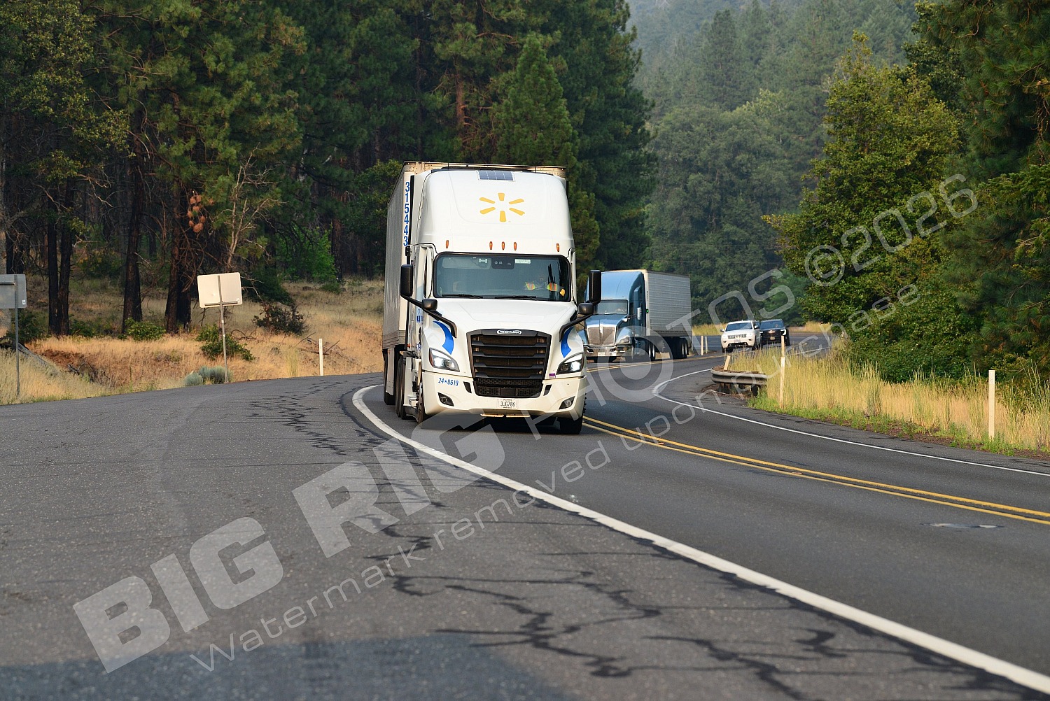 24-8619, 3jg786, BBF, Freightliner Tru, Walmart, Walmart 24-8619
