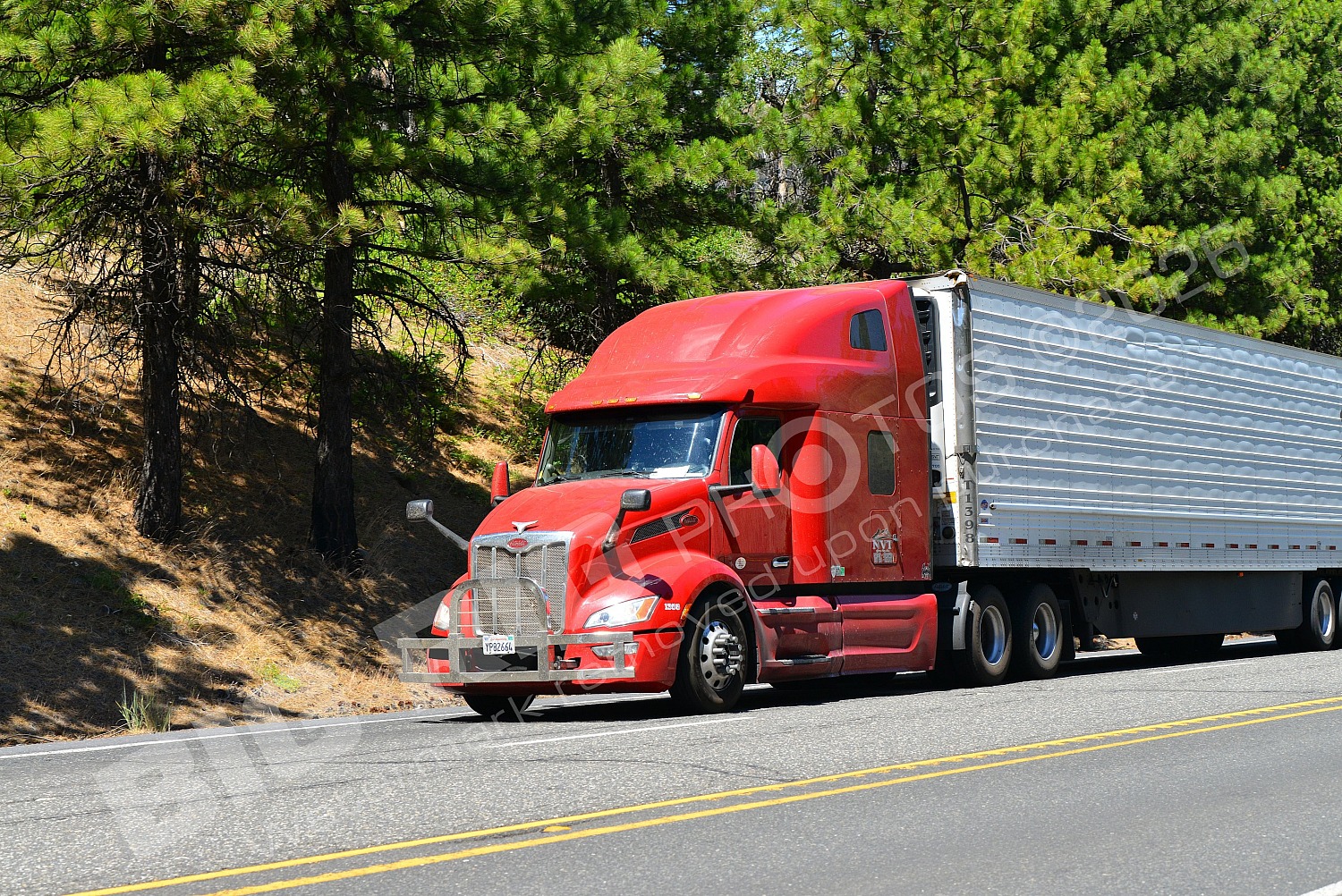 BBB, Dry Van, Kenworth, Navistar International, Peterbi, yp82664