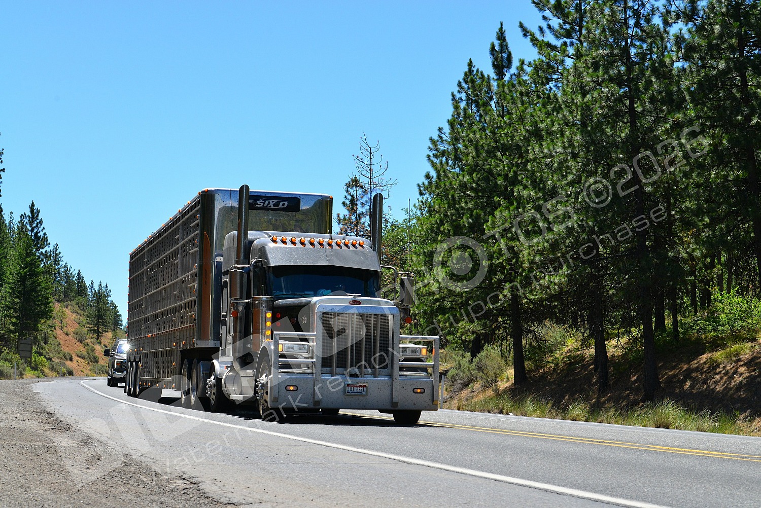 Agriculture, BBB, Kenworth, Livestock, Peterbilt, SIX D, bi3221