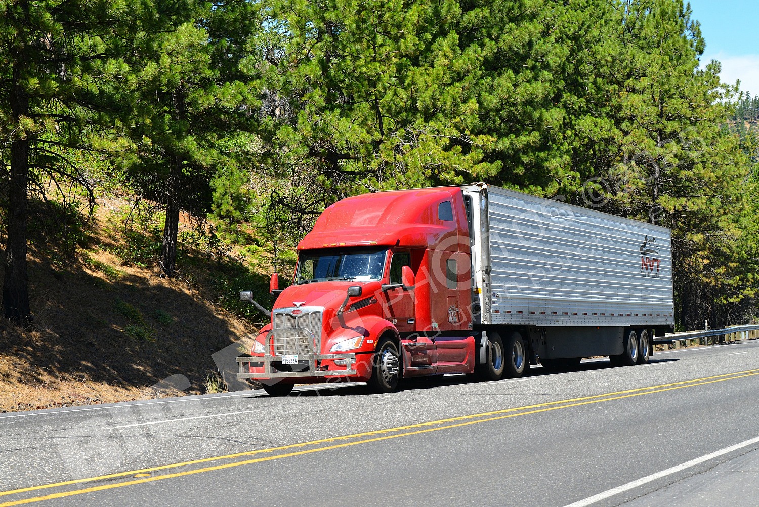 BBB, Dry Van, Kenworth, Navistar International, Peterbi, yp82664