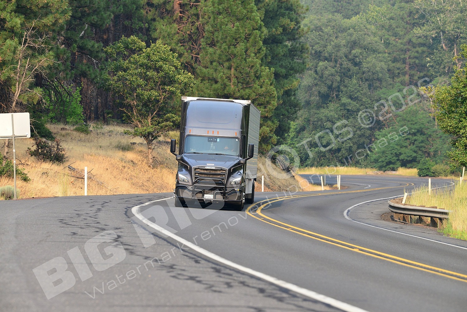 117, BBF, Dry Van, Freightliner Trucks, Reefer, zp33517