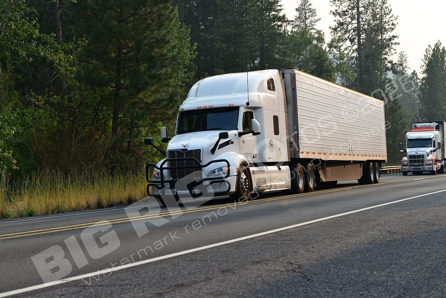 2841, BBF, Freightliner Trucks, Reefer, r842281