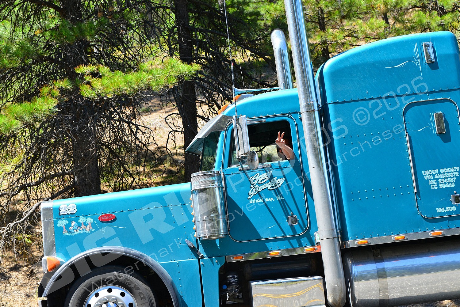 22, BBB, Freightliner Tr, Gary Bradley, Gary Bradley 22, an01369