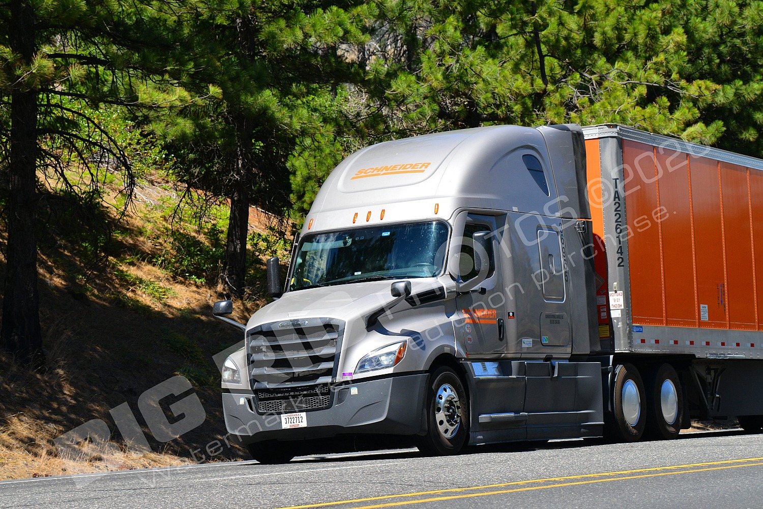36965, 3722712, BBB, Dry Van, Freightliner Trucks, Sc, Schneider