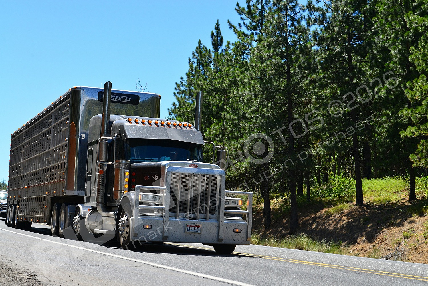 Agriculture, BBB, Kenworth, Livestock, Peterbilt, SIX D, bi3221