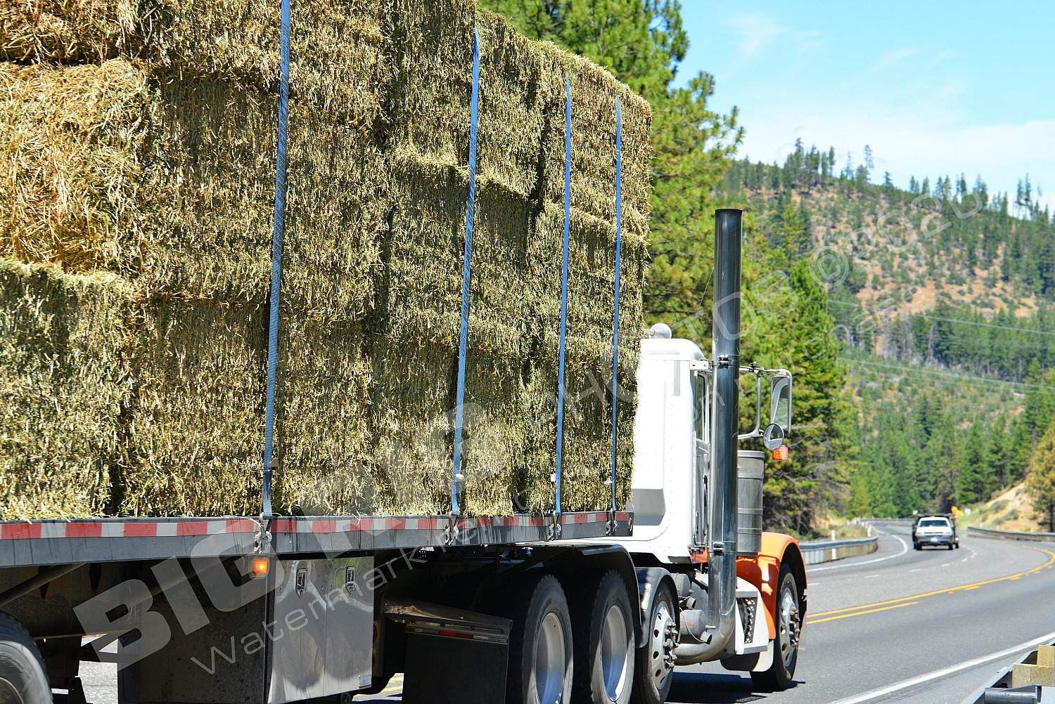 Agriculture, BBB, Chevr, TK13, Veldhuis, Veldhuis TK13, usd0i188