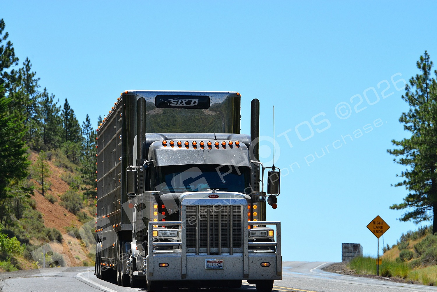 Agriculture, BBB, Kenworth, Livestock, Peterbilt, SIX D, bi3221