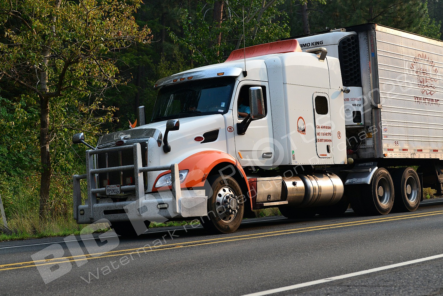 210, BBF, Generic, Peterbilt, Reefer, yp59014