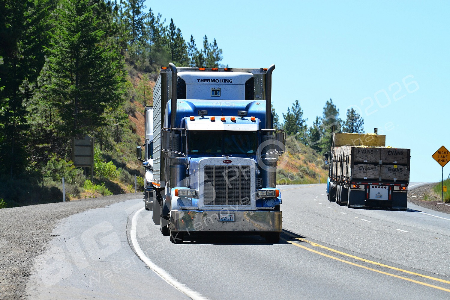 70990ag, BBB, Generic, Reefer