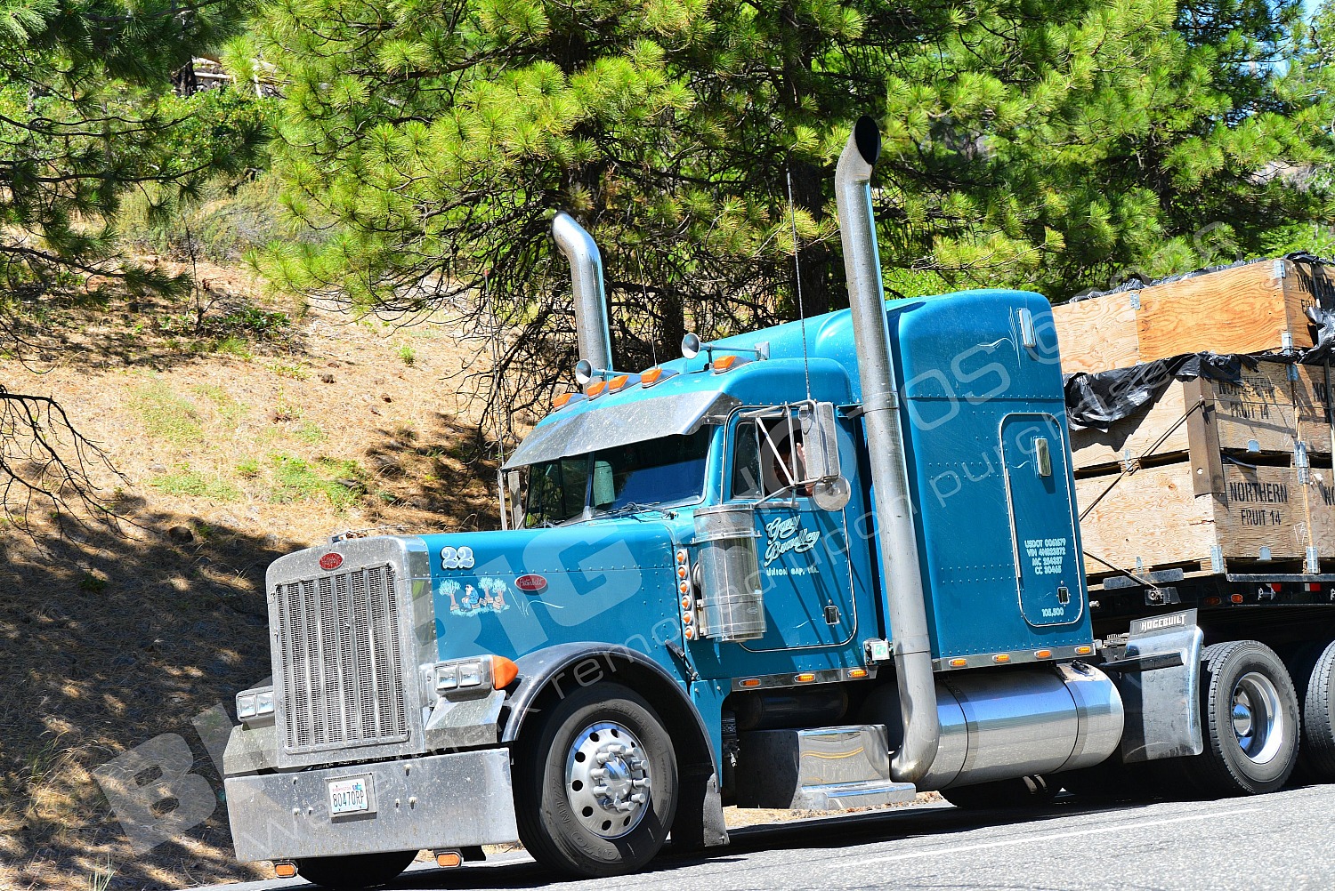 23, 80470rp, BBB, Flatbed, Peterbilt, Roy Stanley, Roy Stanley 2
