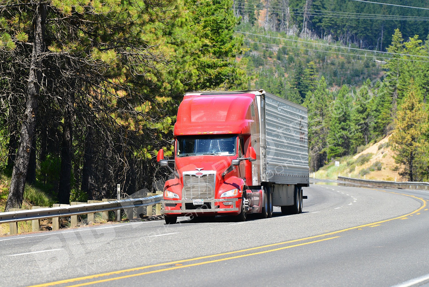 BBB, Dry Van, Kenworth, Navistar International, Peterbi, yp82664