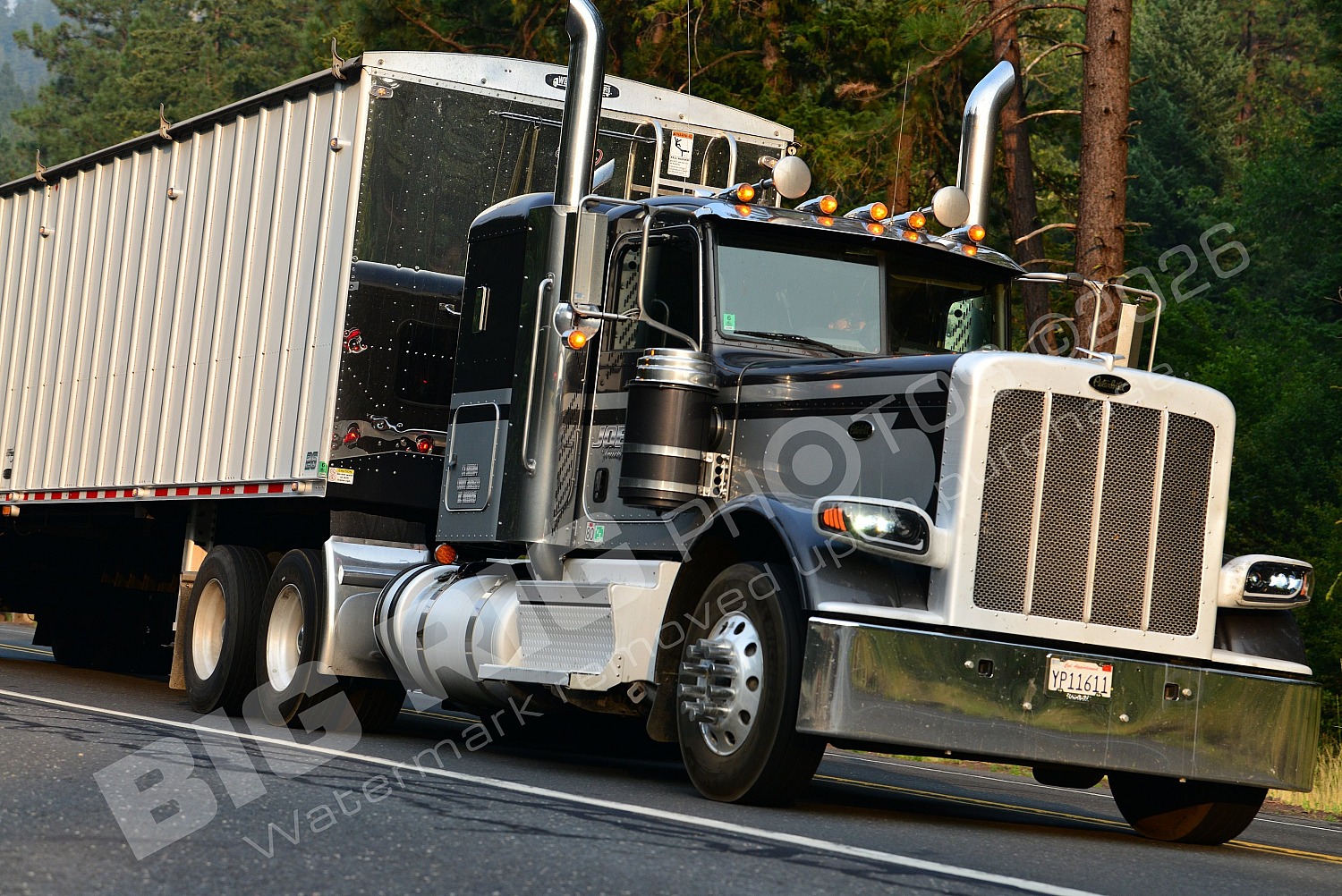 Agriculture, BBF, Dry Van, Logger, Peterbilt, yp11611