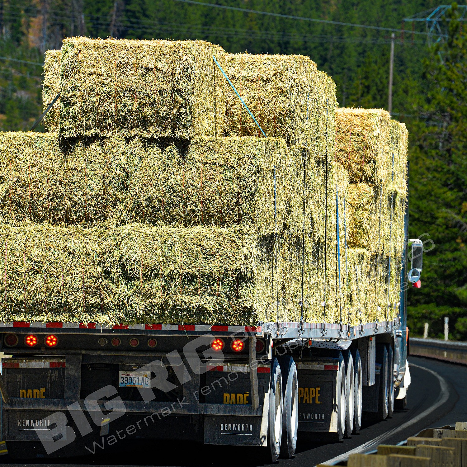 39051ag, Agriculture, BBB, Generic