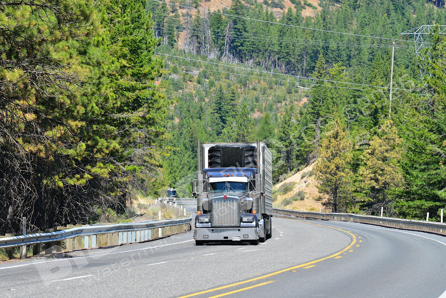 25, BBB, Kenworth, Reefer, VMT Logistics Inc, zp21939