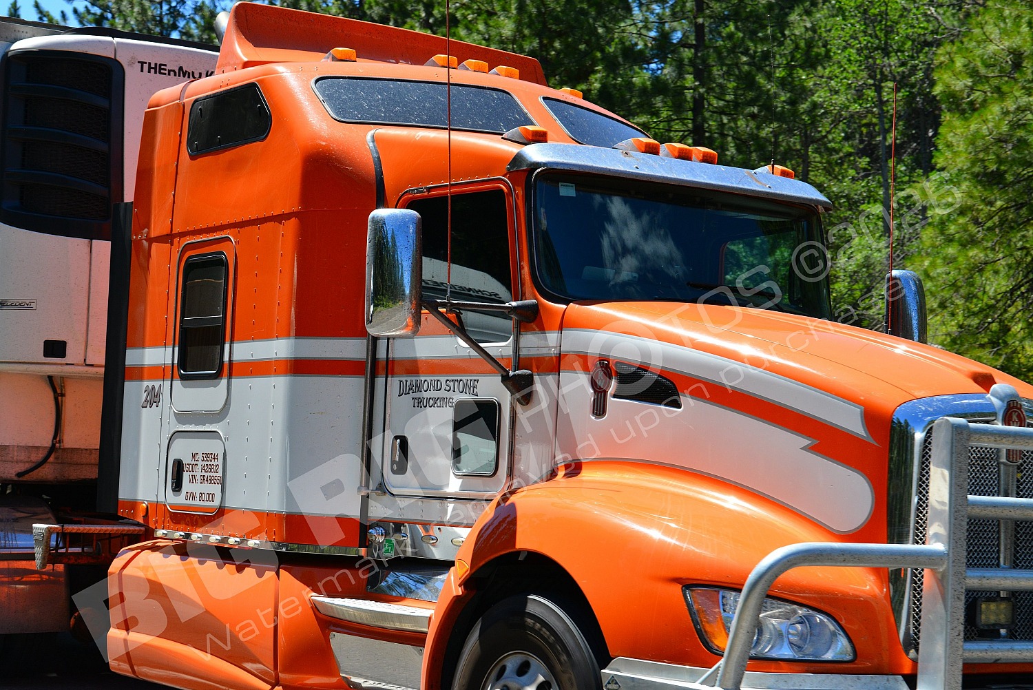 204, BBB, Diamond Stone Trucking, Diamond Stone Trucking 204, am