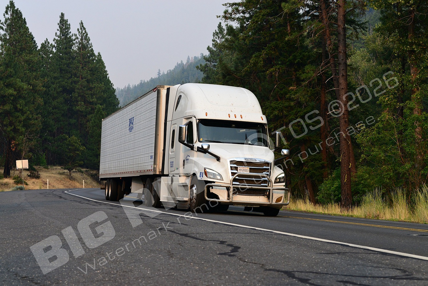 61, BBF, Freightliner, PAM Transport, PAM Transport 61, yp49003