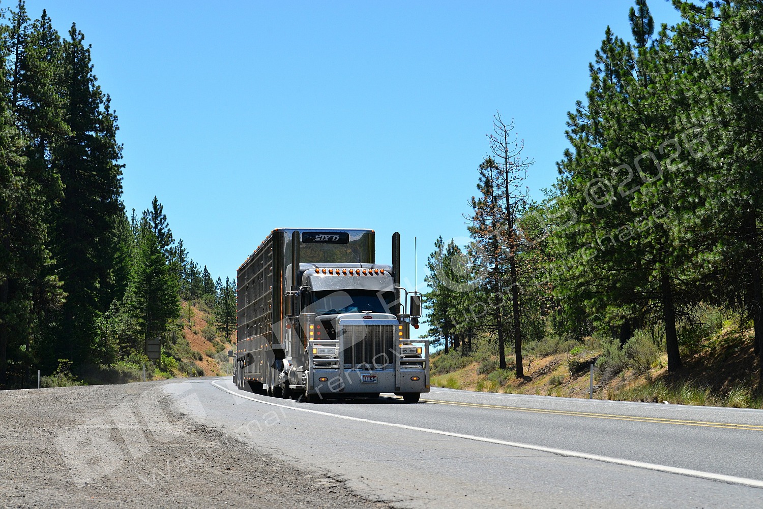Agriculture, BBB, Kenworth, Livestock, Peterbilt, SIX D, bi3221