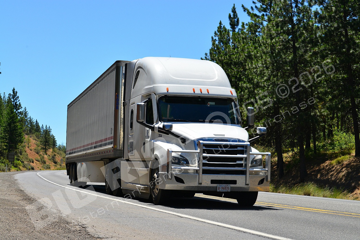 304, BBB, Dry Van, Freightliner Trucks, T, True Truckers, a96835