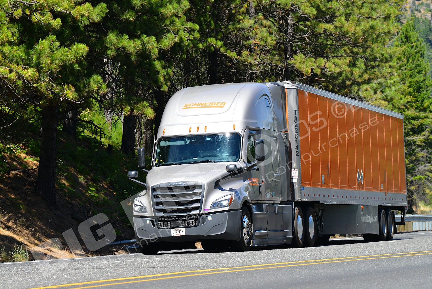 36965, 3722712, BBB, Dry Van, Freightliner Trucks, Sc, Schneider