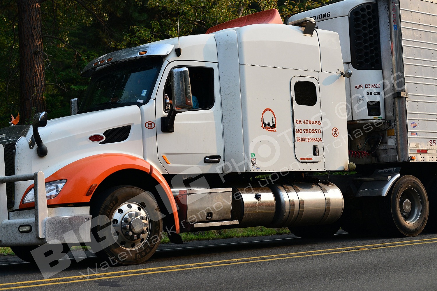 210, BBF, Generic, Peterbilt, Reefer, yp59014