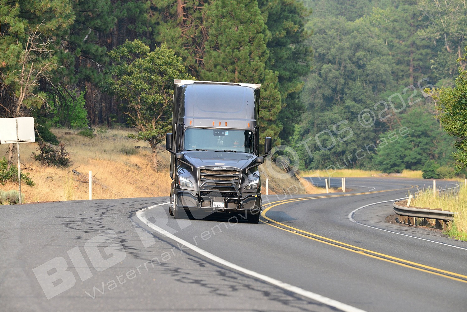 117, BBF, Dry Van, Freightliner Trucks, Reefer, zp33517