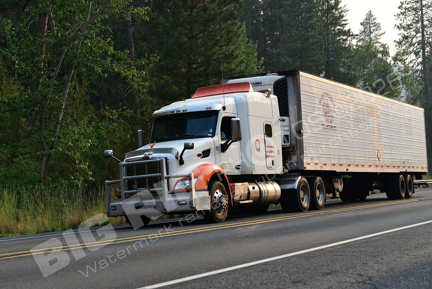 210, BBF, Generic, Peterbilt, Reefer, yp59014