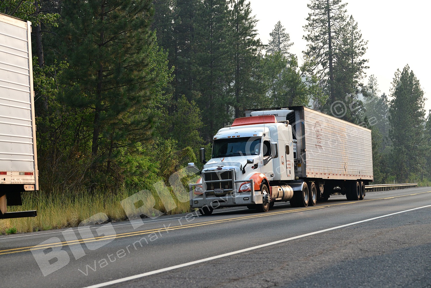 210, BBF, Generic, Peterbilt, Reefer, yp59014