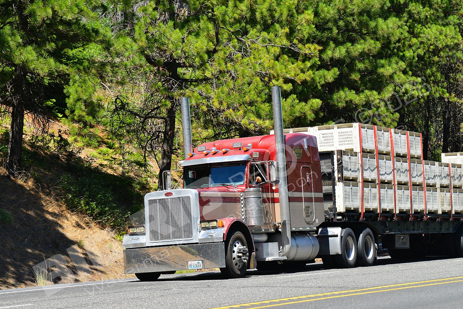 61, Agriculture, BBB, Button, Button 61, Peterbilt, rp12659