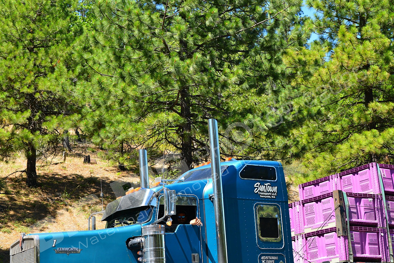 1, Agricult, BBB, SunTown Transport LLC, SunTown Transport LLC 1
