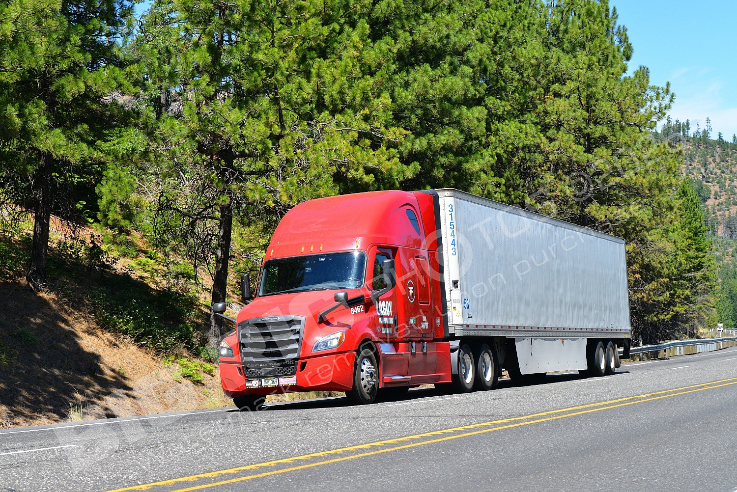 8462, BBB, Dry, Freightliner Trucks, LAGGY, LAGGY 8462, an01369