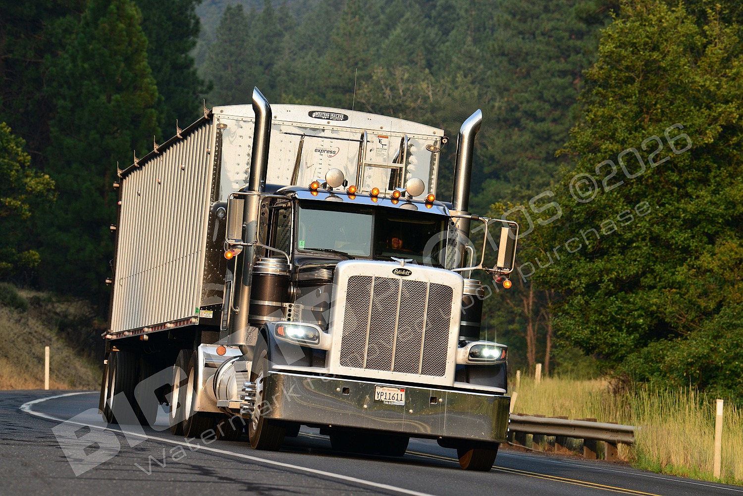 Agriculture, BBF, Dry Van, Logger, Peterbilt, yp11611