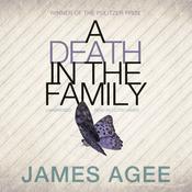 a death in the family by james agee essay a death in the family by james agee essay
