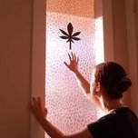 cannawellgabrielle