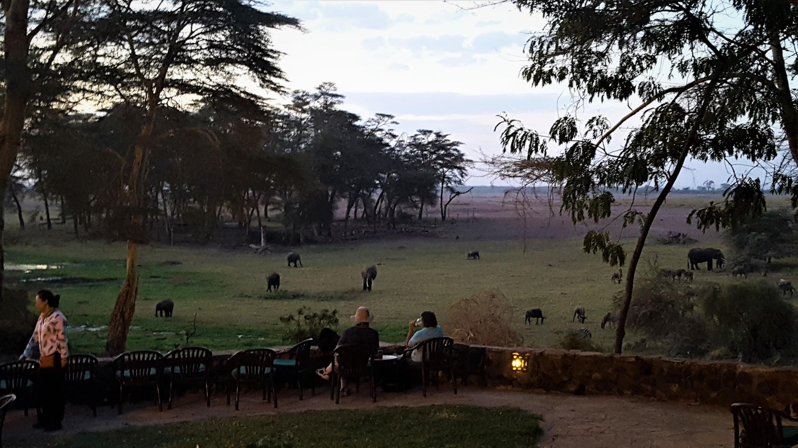 Huge Sit out place in Serena Lodge