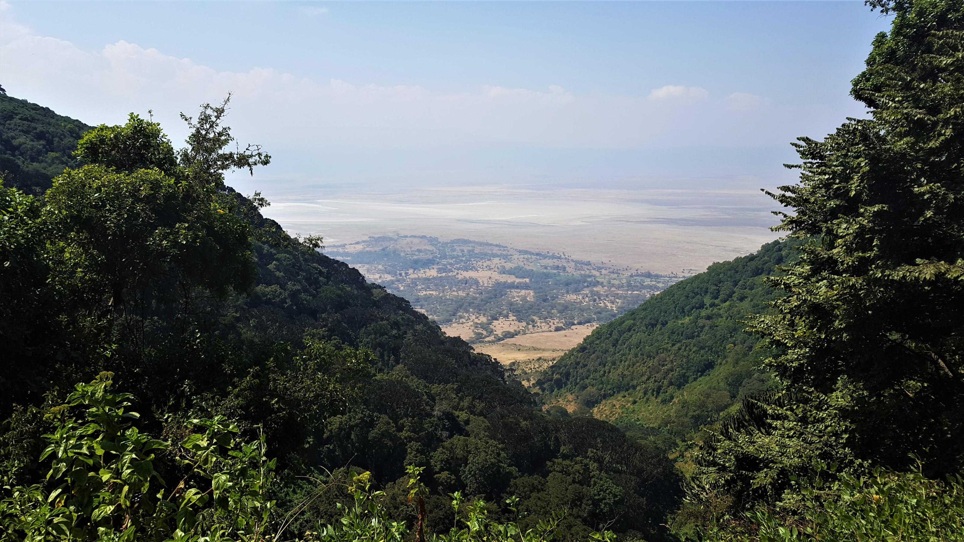 V-Shaped view of Ngorongoro from the top