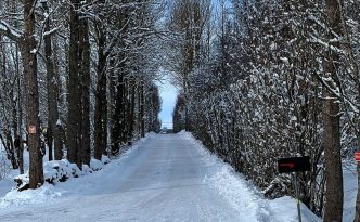 IMG_4771