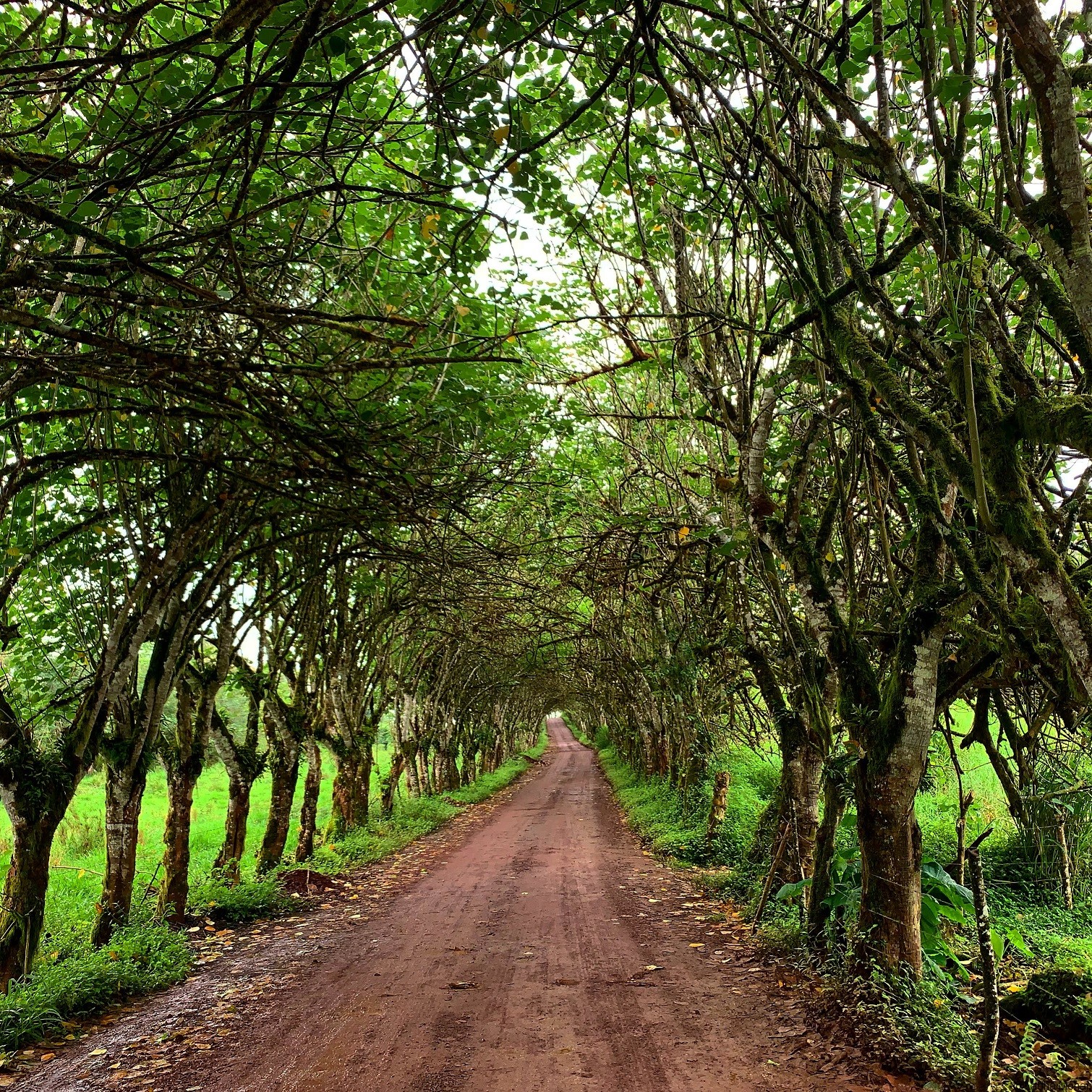 Entrance to El Chat Reserve