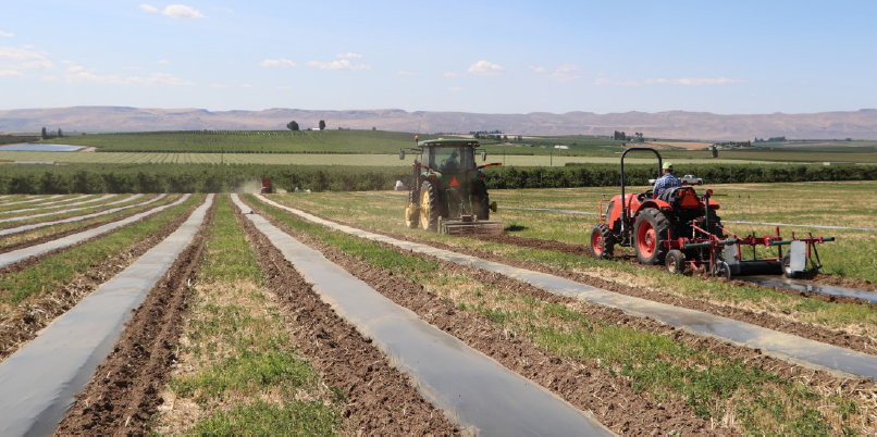 image shows a tractor with the film spool applicator laying down the barrier following behind the rototiller tractor.