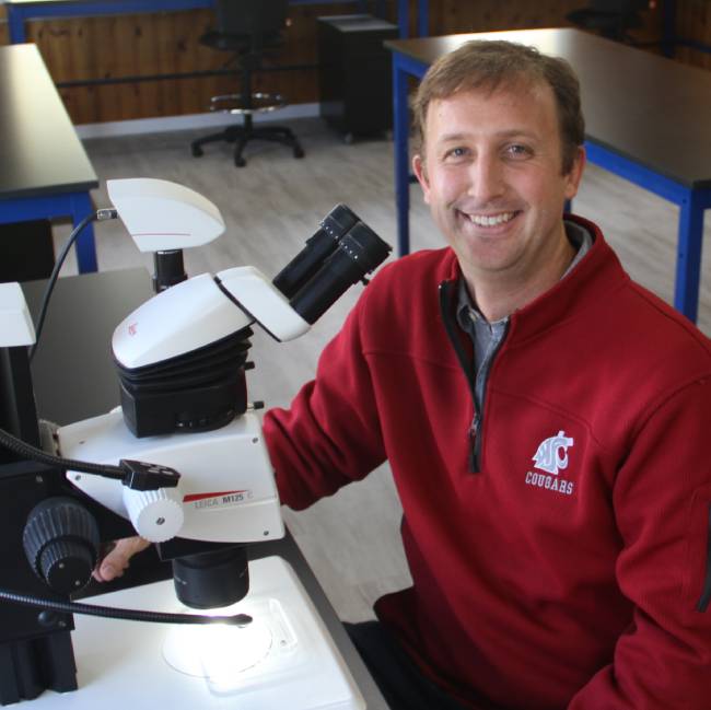 Tobin Northfield sits at microscope in the Entomology Integrated Pest Management Lab.