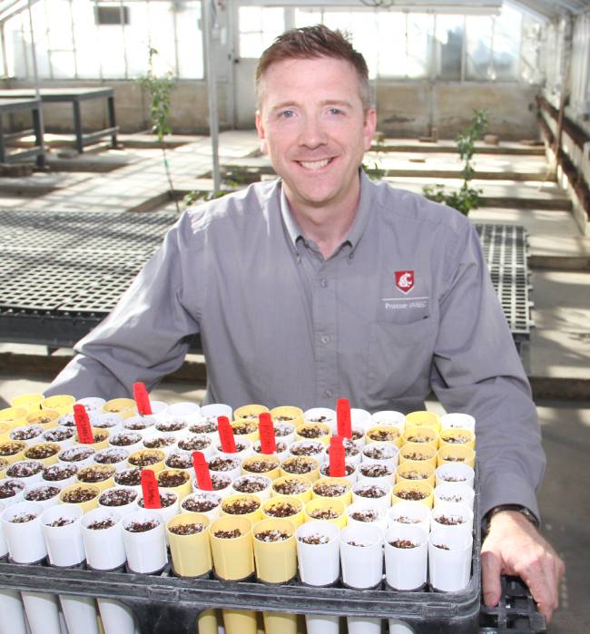 Per McCord sits with cherry tree soil samples.