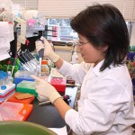 A researcher works in a lab at the UW School of Dentistry.