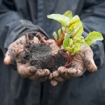 DEOHS-Ag-Worker-Project