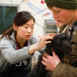 Both pets and people receive care at One Health Clinic.