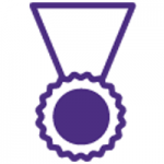 Icon of an award medal