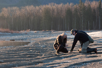 Joseph Kiegel and fellow Cascade Tracking Team member Mallory Clarke look for animal tracks on a sandbar on the Skykomish River. | Photo by David Moskowitz