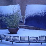 Stephen Edwin Lundgren, UW staff with Harborview Medical Center, contributed this photo from outside the centers cafeteria of the art installation "Harborview Pillows" by Belize Brother. Lundgren emulated the work of Andre Kertesz – who often photographed empty courtyards, public squares and streets.