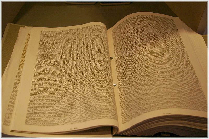 A Tokyo museum book contains page after page of the strings of DNA code letters A,G,C and T found in the human genome. A single letter change might influence health risks.