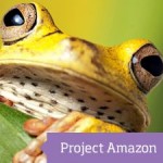 Tropical frog with logo saying Project Amazon